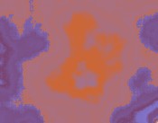 kinder lachen lachen frau