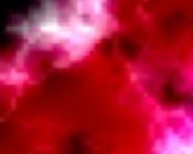 videos clips zum lachen witz